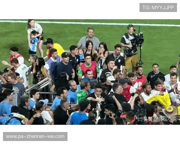 美洲杯激战全记录：回顾荣耀与巅峰对决